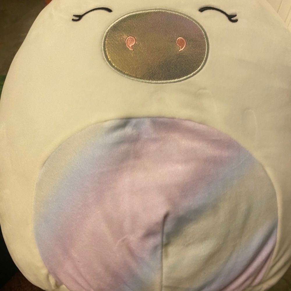 Rainbow squishmallows